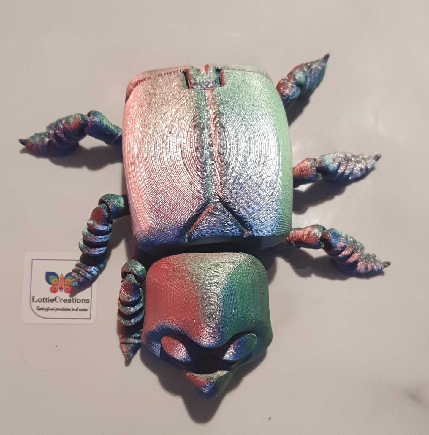 Tri coloured beetle