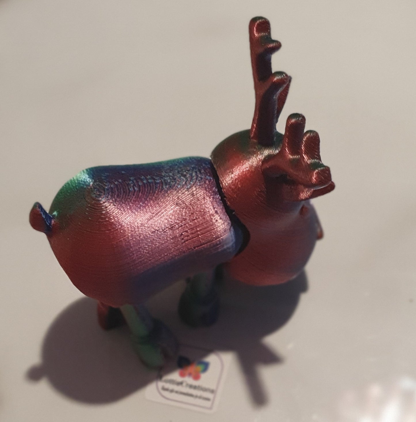 Tri coloured reindeer