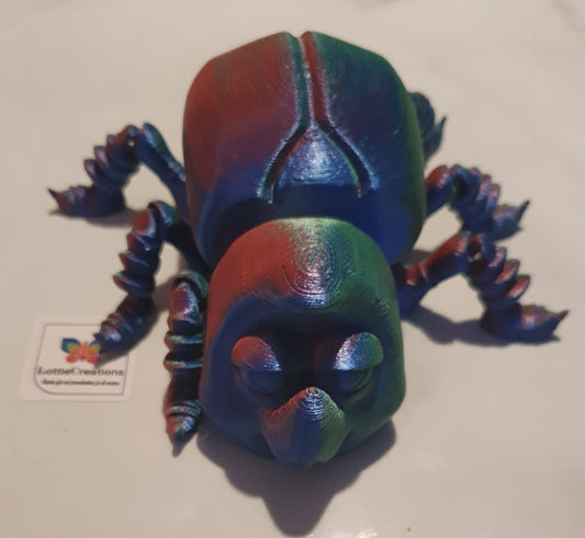 Tri coloured beetle