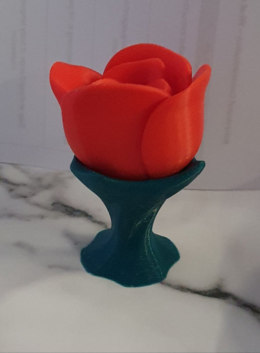 Ever lasting Rose