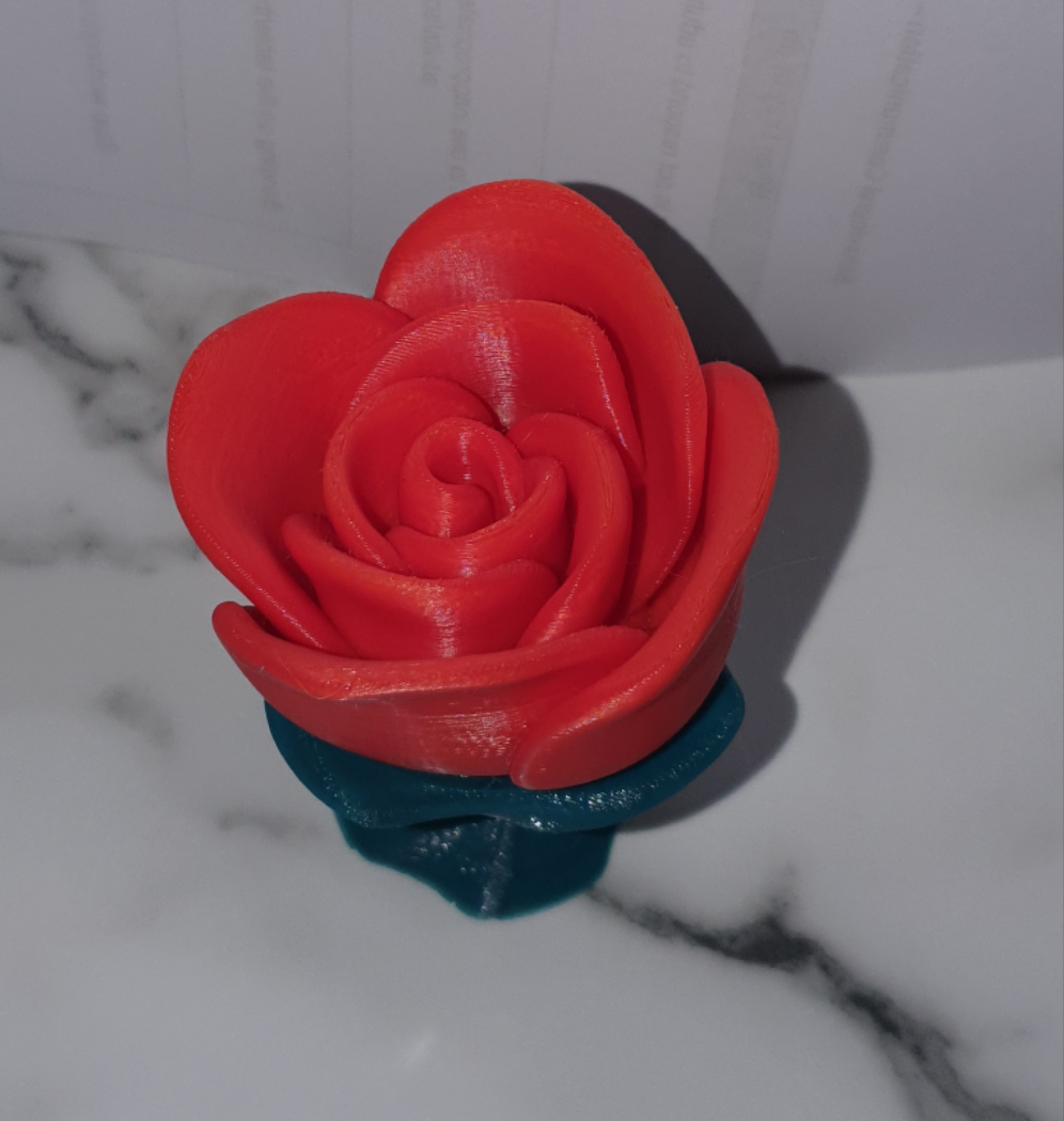 Ever lasting Rose