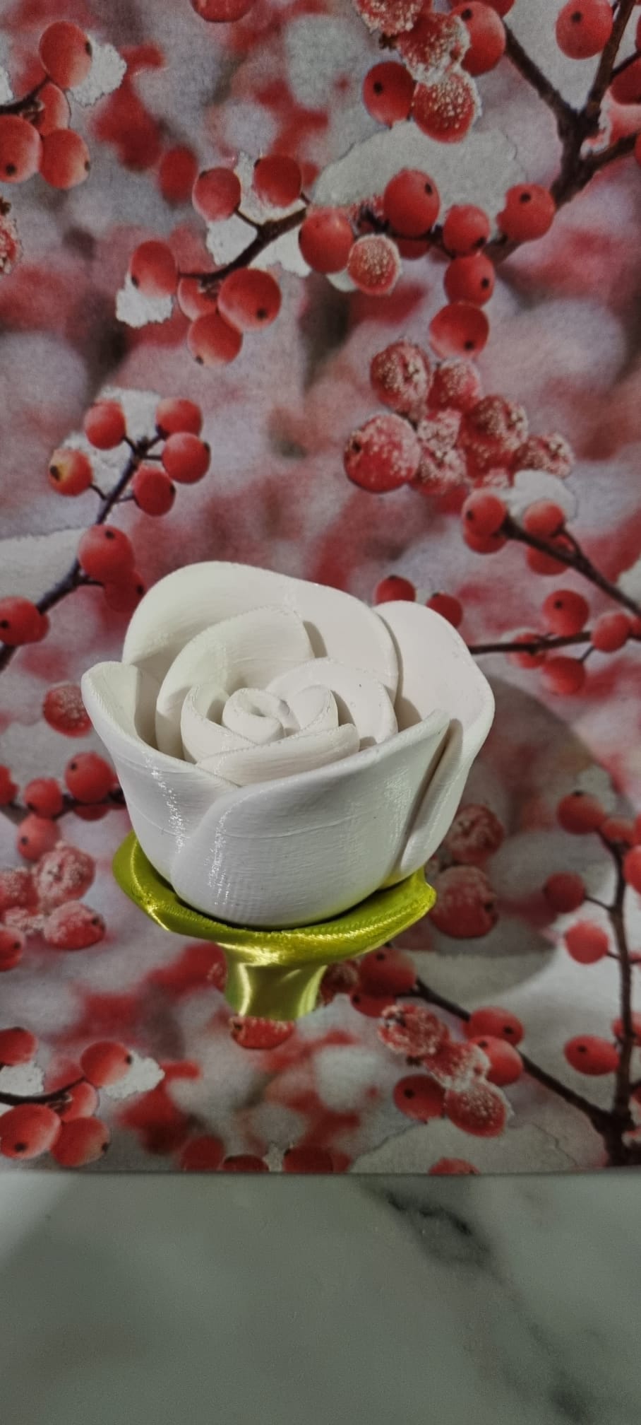 Ever lasting Rose